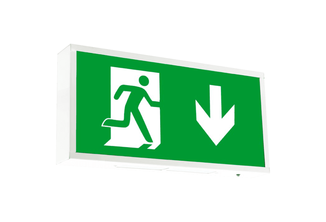 SignLite Scimitar DP