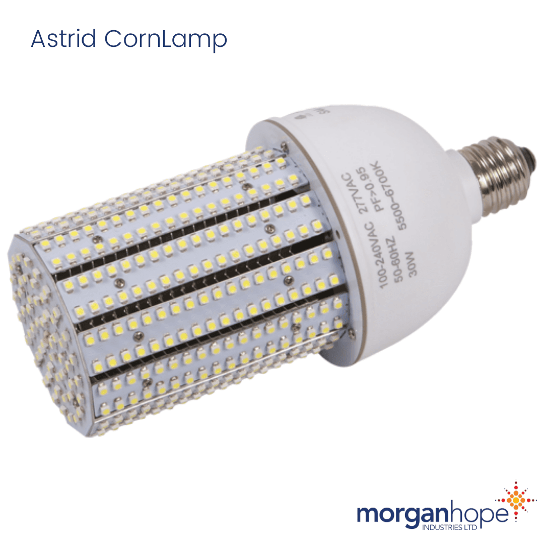 Astrid CornLamp HP